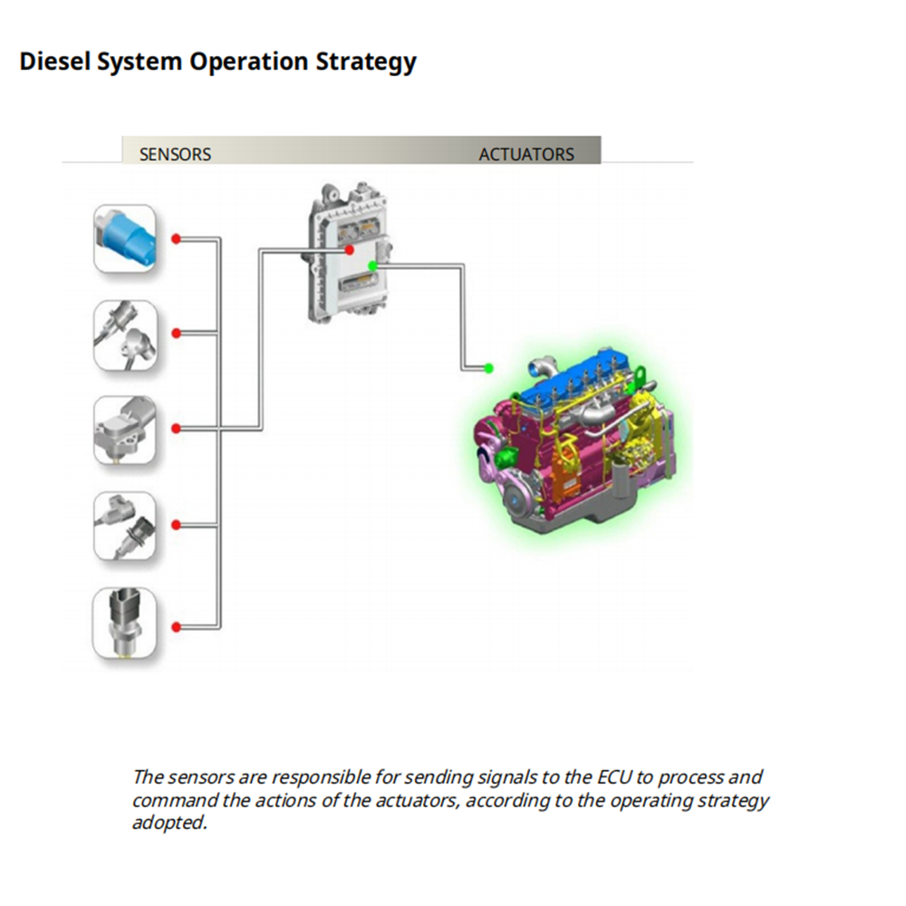 Diesel Electronics Study Guide - Tools In Workshop Pdf 评论和价格